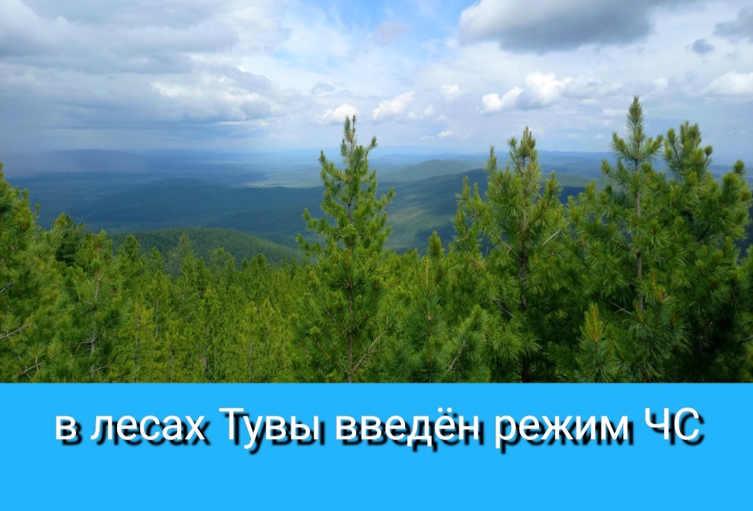 Постановлением Правительства Республики Тыва в лесах регионального характера на территории региона с 22 июля введен режим чрезвычайной ситуации. Постановлением Правительства Республики Тыва в лесах регионального характера на территории региона с 22 июля введен режим чрезвычайной ситуации.